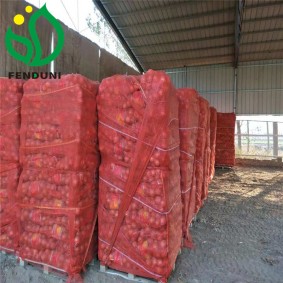 2020 New Crop Chinese Fresh Onions