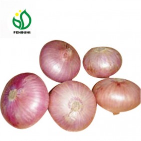 China Red Onions
