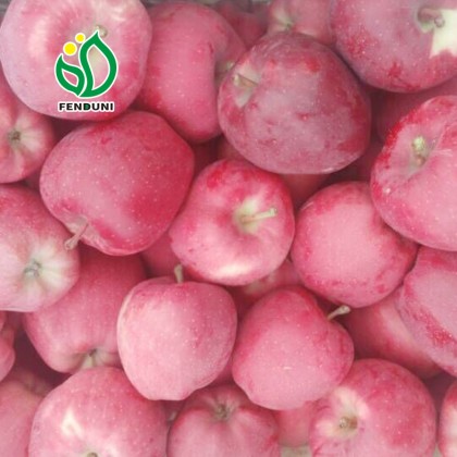 Chinese Apples