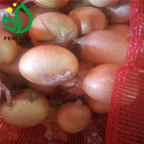 GanSu Fresh Onions