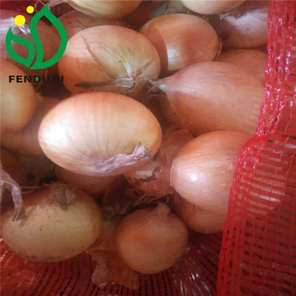 GanSu Fresh Onions