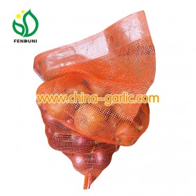 Onion Price for sell 20kg per bag