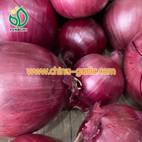 Onion Suppliers from China