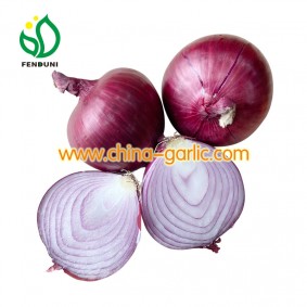 Pink Onion from china wtih top quality