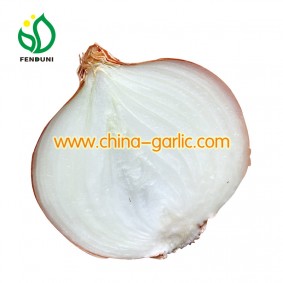 White Color Onions