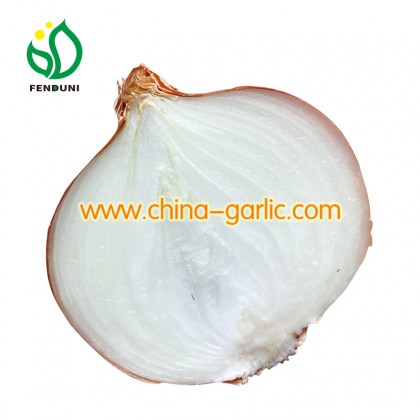 White Color Onions
