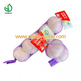 quotation for white garlic the size of 5.00 cm up in blue mesh bags