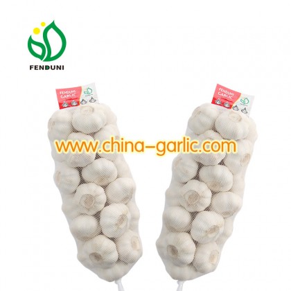 China Garlic Price in Cheap (4.5cm-6.5cm/package in carton/bag) for Import/Export - new arrival