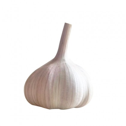 China Best Garlic Brand Fenduni Garlic Price List with Cheap Price China Best Garlic Brand Fenduni Garlic Price List with Cheap Price