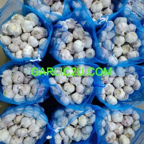2026 Fresh Garlic from China, 10kg/bag - new crop, hot sales