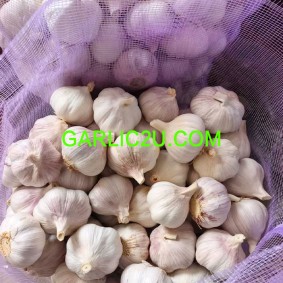 Garlic Wholesale from China by Pallet Ship by 1x40'' reefer container